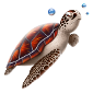 tortue.png